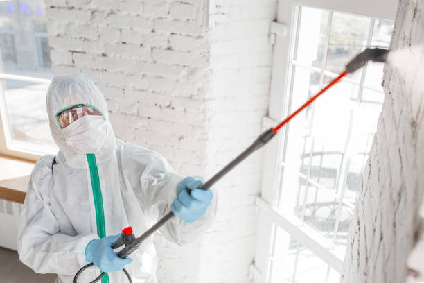 Best Mold Removal for HVAC Installations  in Mercer, PA