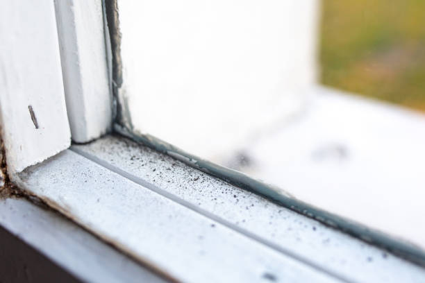 Best Residential Mold Inspection & Testing  in Mercer, PA